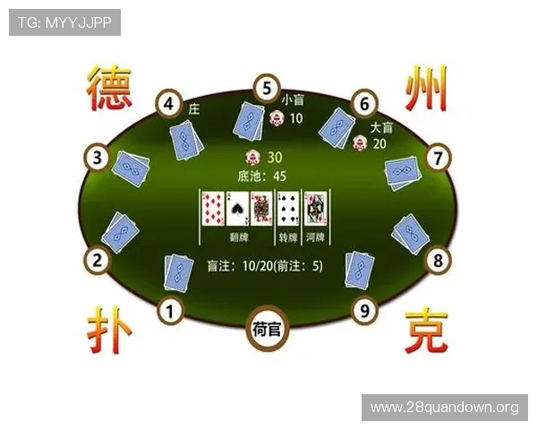掌握德州大盲小盲规则提升你的扑克游戏技巧与胜率
